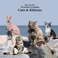 World's Weirdest Looking Cats and Kittens Kids Book