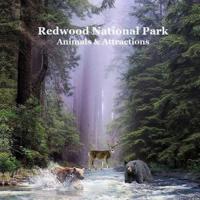 Redwood National Park Animals and Attractions Kids Book