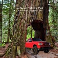 Redwood National Park Attractions and Sights to See Kids Book