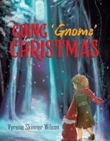 Going 'Gnome' for Christmas