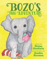 Bozo's Big Adventure