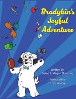 Bradykin's Joyful Adventure