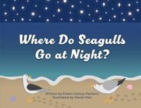 Where Do Seagulls Go at Night?