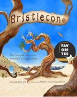 Bristlecone