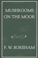 Mushrooms on the Moor