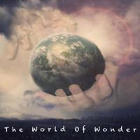 The World Of Wonder