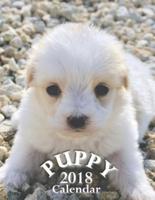 Puppy 2018 Calendar