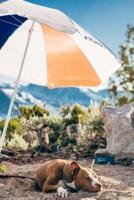 Camping Dog Under Umbrella