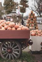 Fall Pumpkin Wagon Journal