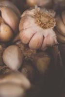 Dried Garlic Cloves