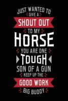Just Wanted to Give a Shout Out to My Horse You Are One Tough Son of a Gun Keep Up the Good Work Big Buddy