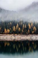 Golden Trees on Foggy Autumn Lake