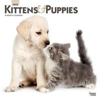 Kittens & Puppies 2022 Square