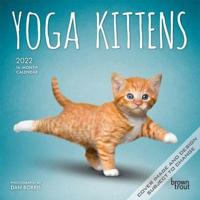 Yoga Kittens 2022 Mini