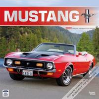 Mustang 2022 Square