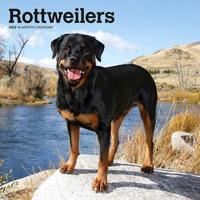 Rottweilers 2022 Square