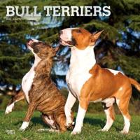 Bull Terriers 2022 Square
