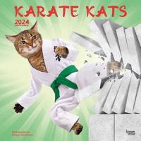 Karate Kats 2024 Square