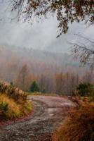 Foggy Mountain Autumn Morning