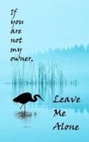 If You Are Not My Owner, Leave Me Alone (Tranquility)
