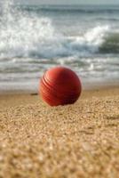 Beach Cricket Notebook