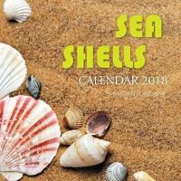 Sea Shells Calendar 2018