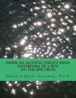 Inside an Autistic Child's Mind
