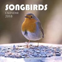 Songbirds Calendar 2018