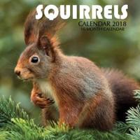 Squirrels Calendar 2018