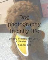 Dog Photography in Daily Life