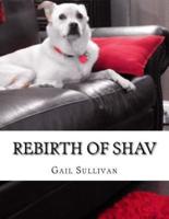 Rebirth of Shav