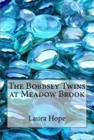 The Bobbsey Twins at Meadow Brook