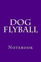 Dog Flyball