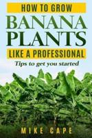 How to Grow Banana Plants Like a Professional