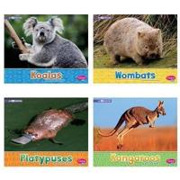 Australian Animals