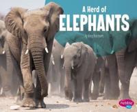 A Herd of Elephants