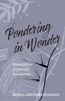 Pondering in Wonder: Contemplations of a Mountain Contemplative