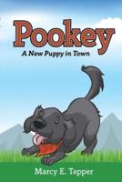 Pookey: A New Puppy in Town