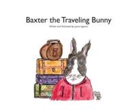 Baxter the Traveling Bunny