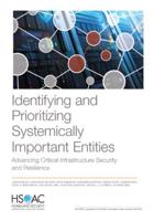 Identifying and Prioritizing Systemically Important Entities