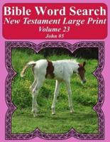 Bible Word Search New Testament Large Print Volume 23