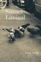 Sunset Liminal Vol. 5