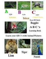 Buggles Learn the A B C's Book