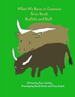 Buffalo and Bull