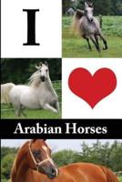 I Love Arabian Horses Journal