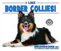 I Like Border Collies!