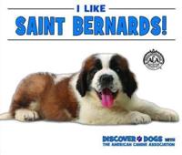 I Like Saint Bernards!