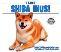 I Like Shiba Inus!
