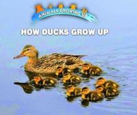 How Ducks Grow Up