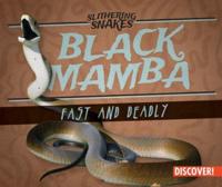 Black Mamba: Fast and Deadly